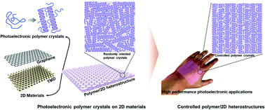 Graphical abstract: Controlled polymer crystal/two-dimensional material heterostructures for high-performance photoelectronic applications