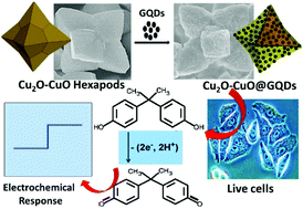 Graphical abstract: Facet-energy inspired metal oxide extended hexapods decorated with graphene quantum dots: sensitive detection of bisphenol A in live cells