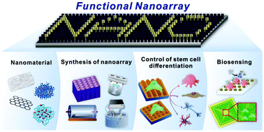 Graphical abstract: Functional nanoarrays for investigating stem cell fate and function
