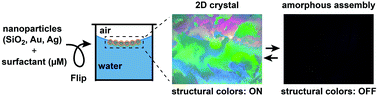 Graphical abstract: From bulk crystallization of inorganic nanoparticles at the air/water interface: tunable organization and intense structural colors