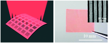 Graphical abstract: A mechanically bendable and conformally attachable polymer membrane microlaser array enabled by digital interference lithography