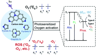 Graphical abstract: Highly efficient oxygen photosensitization of carbon dots: the role of nitrogen doping