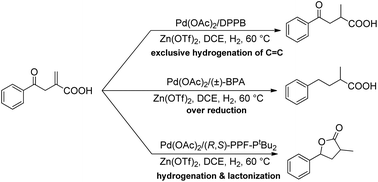 Graphical abstract: Pd(ii)/Zn co-catalyzed chemo-selective hydrogenation of α-methylene-γ-keto carboxylic acids