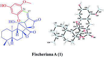 Graphical abstract: Fischeriana A, a meroterpenoid with an unusual 6/6/5/5/5/6/6 heptacyclic carbon skeleton from the roots of Euphorbia fischeriana