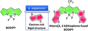 Graphical abstract: Thieno[3,2-b]thiophene fused BODIPYs: synthesis, near-infrared luminescence and photosensitive properties