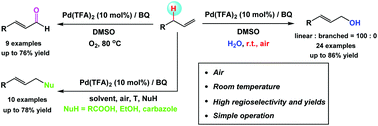 Graphical abstract: Palladium-catalyzed allylic C–H oxidation under simple operation and mild conditions