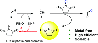 Graphical abstract: N-Hydroxyphthalimide/benzoquinone-catalyzed chlorination of hydrocarbon C–H bond using N-chlorosuccinimide