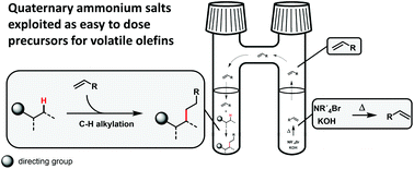 Graphical abstract: Investigations of the generality of quaternary ammonium salts as alkylating agents in direct C–H alkylation reactions: solid alternatives for gaseous olefins