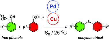 Graphical abstract: Direct C–S bond formation via C–O bond activation of phenols in a crossover Pd/Cu dual-metal catalysis system