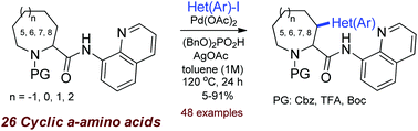 Graphical abstract: Pd-Catalyzed directed CH-(hetero)arylation of cyclic α-amino acids: effects of substituents and the ring size