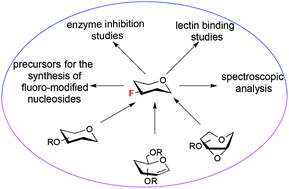 Graphical abstract: Synthetic strategies for fluorination of carbohydrates