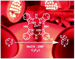 Graphical abstract: Radical fluoroalkylation reactions of (hetero)arenes and sulfides under red light photocatalysis