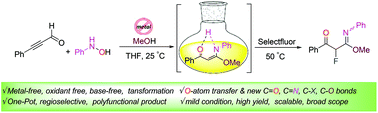 Graphical abstract: Transition metal-free functionalized hydration of alkynes: one-pot synthesis of fluorinated β-keto-imidates using Selectfluor