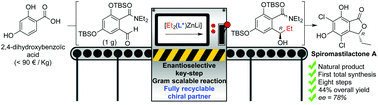 Graphical abstract: Total synthesis of spiromastilactone A
