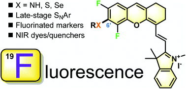 Graphical abstract: Divergent synthesis of 5′,7′-difluorinated dihydroxanthene-hemicyanine fused near-infrared fluorophores
