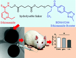 Graphical abstract: A novel codrug made of the combination of ethionamide and its potentiating booster: synthesis, self-assembly into nanoparticles and antimycobacterial evaluation