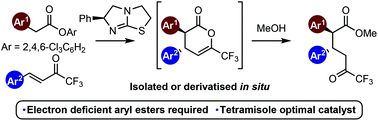 Graphical abstract: Evaluating aryl esters as bench-stable C(1)-ammonium enolate precursors in catalytic, enantioselective Michael addition–lactonisations