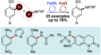 Graphical abstract: One-pot ortho-amination of aryl C–H bonds using consecutive iron and copper catalysis