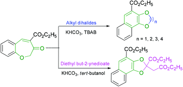 Graphical abstract: A facile construction of oxygen heterocycles by the reaction of benzoxepine-4-carboxylates with dihaloalkanes and activated alkynes