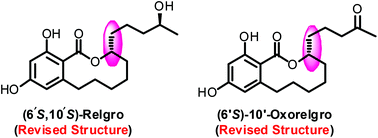 Graphical abstract: Total synthesis and stereochemical revision of relgro and 10′-oxorelgro