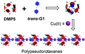 Graphical abstract: A dimethoxypillar[5]arene/azastilbene host–guest recognition motif and its applications in the fabrication of polypseudorotaxanes