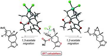 Graphical abstract: DFT studies on metal-catalyzed cycloisomerization of trans-1,5-enynes to cyclopropane sesquiterpenoids