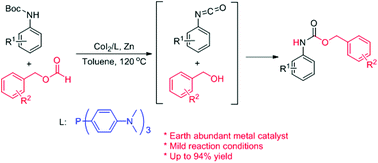 Graphical abstract: One stone two birds: cobalt-catalyzed in situ generation of isocyanates and benzyl alcohols for the synthesis of N-aryl carbamates