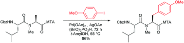 Graphical abstract: Mono-selective β-C–H arylation of N-methylated amino acids and peptides promoted by the 2-(methylthio)aniline directing group