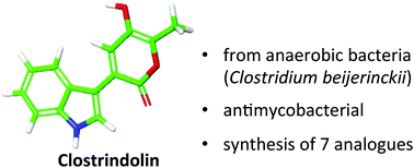 Graphical abstract: Clostrindolin is an antimycobacterial pyrone alkaloid from Clostridium beijerinckii