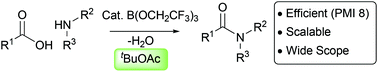 Graphical abstract: Catalytic direct amidations in tert-butyl acetate using B(OCH2CF3)3