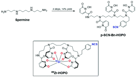 Graphical abstract: Improved synthesis of the bifunctional chelator p-SCN-Bn-HOPO