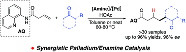 Graphical abstract: Synergistic palladium/enamine catalysis for asymmetric hydrocarbon functionalization of unactivated alkenes with ketones