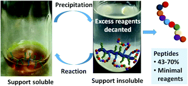 Graphical abstract: A rink-amide soluble support: high purity conotoxins and other peptides accessed with minimal reagents