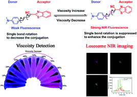Graphical abstract: A NIR fluorescent probe for detection of viscosity and lysosome imaging in live cells