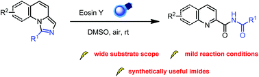 Graphical abstract: Exploring the ring-opening reactions of imidazo[1,5-a]quinolines for the synthesis of imides under photochemical conditions