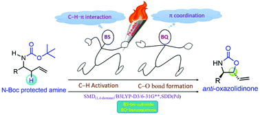 Graphical abstract: Cooperativity and serial ligand catalysis in an allylic amination reaction by Pd(ii)-bis-sulfoxide and Brønsted acids
