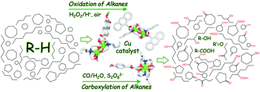 Graphical abstract: Mild C–H functionalization of alkanes catalyzed by bioinspired copper(ii) cores