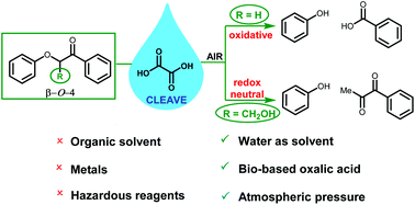 Graphical abstract: Cleavage of lignin model compounds and ligninox using aqueous oxalic acid