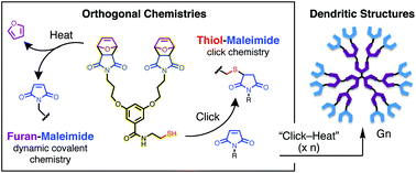 Graphical abstract: Dendritic architectures by orthogonal thiol-maleimide “click” and furan-maleimide dynamic covalent chemistries