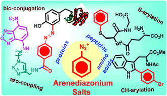 Graphical abstract: Modifications of amino acids using arenediazonium salts