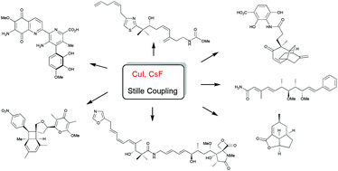 Graphical abstract: Application of copper(i) salt and fluoride promoted Stille coupling reactions in the synthesis of bioactive molecules