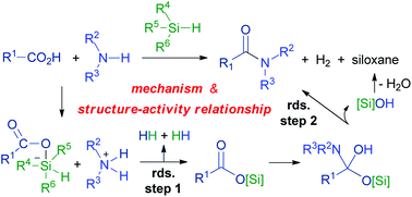 Graphical abstract: The mechanism and structure–activity relationship of amide bond formation by silane derivatives: a computational study
