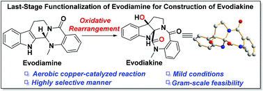 Graphical abstract: Facile access to evodiakine enabled by aerobic copper-catalyzed oxidative rearrangement
