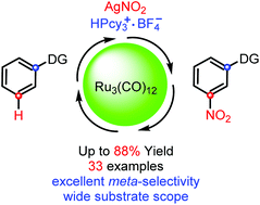 Graphical abstract: The ruthenium-catalyzed meta-selective C–H nitration of various azole ring-substituted arenes