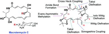 Graphical abstract: Studies toward the synthesis of macrotermycin C: stereoselective construction of the acyclic skeleton of the aglycon