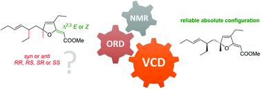 Graphical abstract: Stereochemistry of spongosoritins: beyond optical rotation