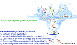 Graphical abstract: Synthetic strategies to access staphylococcus auto-inducing peptides as quorum sensing modulators