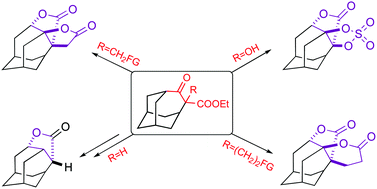 Graphical abstract: Wagner–Meerwein type rearrangement in 5-oxohomoadamantane series
