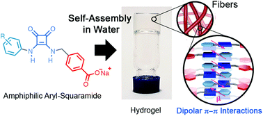 Graphical abstract: Self-assembly of amphiphilic aryl-squaramides in water driven by dipolar π–π interactions