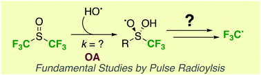 Graphical abstract: Profiling the oxidative activation of DMSO-F6 by pulse radiolysis and translational potential for radical C–H trifluoromethylation